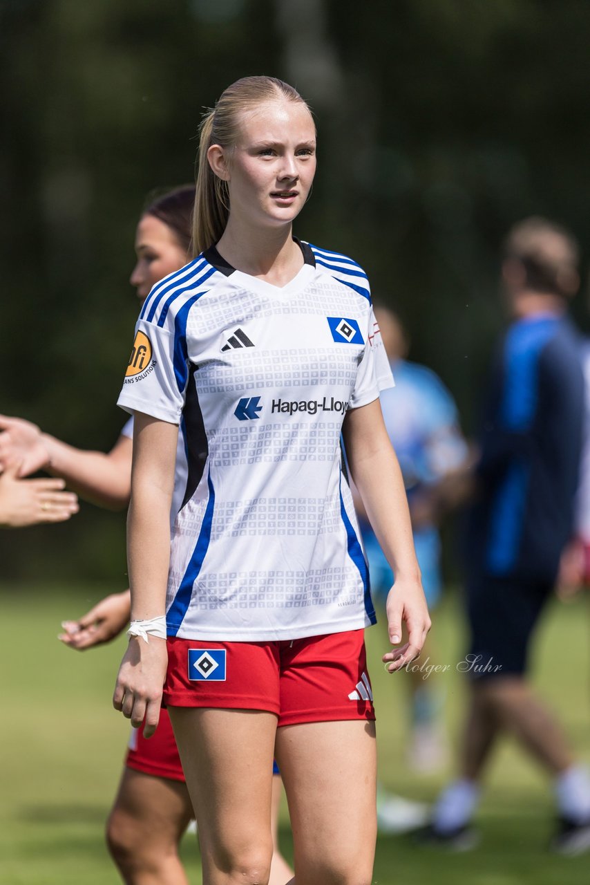Bild 248 - wBJ Hamburger SV - VfL Wolfsburg : Ergebnis: 5:1